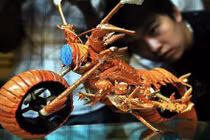 Kỳ lạ những mô tô làm từ xương, vỏ tôm, kim cương