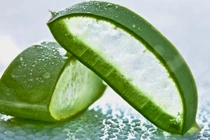 Mẹo chế biến nha đam giòn tan không đắng, không nhớt