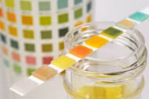 Nước tiểu tiết lộ gì về sức khỏe của bạn?