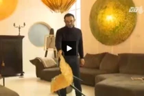 Bất ngờ đồ nội thất sang chảnh làm từ nhựa thông