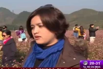 Tour du lịch dành cho người độc thân dịp Tết