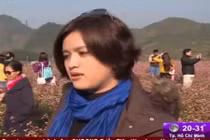 Tour du lịch dành cho người độc thân dịp Tết