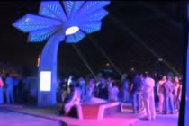 Dubai chơi trội với cây cọ phát wifi toàn bãi biển