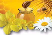 Công dụng chữa ho tuyệt vời của các loài hoa