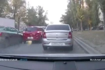 Ba ôtô đâm liên hoàn vì... chim bồ câu đi bộ sang đường