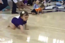 Clip bé thi bò thu hút triệu lượt xem