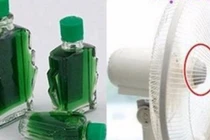 Nhỏ vài giọt dầu gió lên cánh quạt và cảm nhận điều kỳ diệu