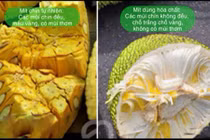 Cách nhận biết mít, sầu riêng dùng hóa chất ép chín