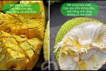Cách nhận biết mít, sầu riêng dùng hóa chất ép chín