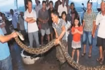 Cụ ông 73 tuổi giết con trăn khủng dài 3,9 mét