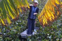 Nhà ngoại cảm chỉ xác chị Huyền dưới ao bèo