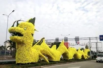 Cận cảnh con vật giống rồng gây nhiều tranh cãi tại Hải Phòng