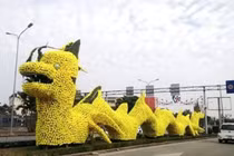 Cận cảnh con vật giống rồng gây nhiều tranh cãi tại Hải Phòng