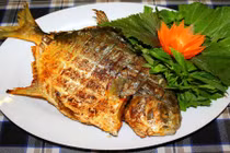 Cách làm cá chim nướng muối ớt ngon hảo hạng