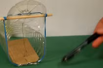 Cách làm bẫy chuột bằng chai nhựa đơn giản mà hiệu quả