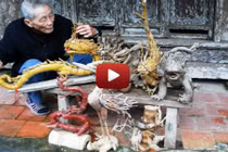 Bộ sưu tập "quái vật" hàng độc của cụ ông 91 tuổi