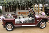 Ảnh hiếm về xe hơi đầu tiên của Việt Nam