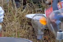 Điều gì xảy ra khi bóng đèn tương tác lò vi sóng?