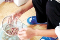 Ăn rươi thế nào để không phải đi cấp cứu?