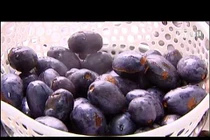 Những món ăn tuyệt ngon, dễ làm từ quả cọ