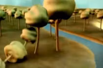 Clip khiến hàng tỷ người trên thế giới thức tỉnh về môi trường