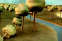 Clip khiến hàng tỷ người trên thế giới thức tỉnh về môi trường