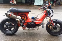 Chi 50 triệu đồng biến Honda Chaly 50cc thành 110cc