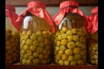 Điều kỳ diệu xảy ra khi uống rượu ổi mỗi ngày