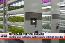 Khám phá trang trại trồng rau nhiều tầng kỳ diệu