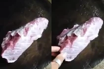 Hé lộ nguyên nhân miếng thịt trâu "nhảy múa" quằn quại