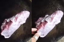 Hé lộ nguyên nhân miếng thịt trâu "nhảy múa" quằn quại