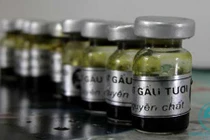 Tác hại khủng khiếp khi ăn "thần dược" mật động vật