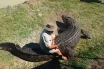 Dị nhân dụ cá sấu khổng lồ lên bờ, cưỡi đi chơi