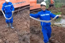 Thanh niên tay không bắt rắn hổ mang 2kg ở Thái Bình