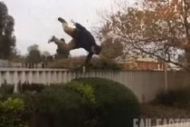 Cười vỡ bụng với những trò nghịch dại chưa từng thấy