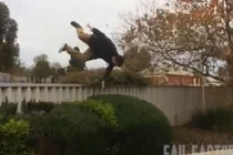 Cười vỡ bụng với những trò nghịch dại chưa từng thấy