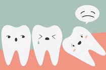 Tại sao cơ thể chúng ta lại có những bộ phận thừa?