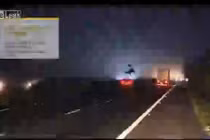 Bò bay như chim khi bị ôtô đâm trên đường cao tốc