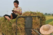 Ước muốn xa xỉ "phổ cập" smartphone của Viettel