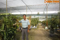 Đại gia Sài Gòn và thú chơi lan “kỳ dị“