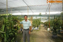 Đại gia Sài Gòn và thú chơi lan “kỳ dị“