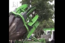 Cách trồng cây dễ như ăn cơm ở nước người ta