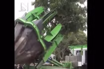 Cách trồng cây dễ như ăn cơm ở nước người ta