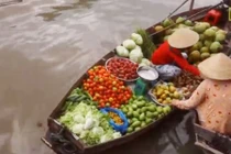 Clip 90 ngày sống thú vị trên dòng sông Mekong