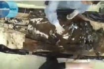 Khai quật xác ướp "quý bà" 350 năm tuổi ở Pháp