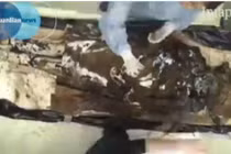 Khai quật xác ướp "quý bà" 350 năm tuổi ở Pháp