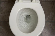 Đây là lý do bạn nên xả nước bồn cầu trước khi đi vệ sinh