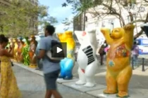 Hoa mắt ngắm hàng trăm chú gấu rực rỡ tại Cuba