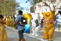 Hoa mắt ngắm hàng trăm chú gấu rực rỡ tại Cuba