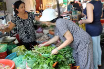 Săn lùng đặc sản rau rừng giá cao ở Sài Gòn